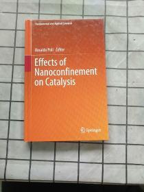 Effects of Nanoconfinement on 进口原版现货