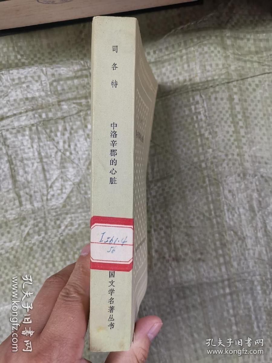 中洛辛郡的心脏 网格本