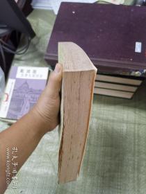 中洛辛郡的心脏 网格本