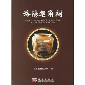 洛阳皂角树：1992-1993年洛阳皂角树二里头文化聚落遗址发掘报告