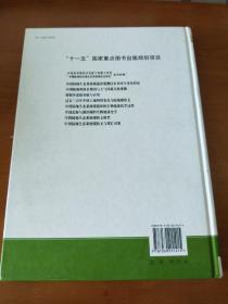 “中国陆地和近海生态系统碳收支研究”系列专著：碳循环遥感基础与应用