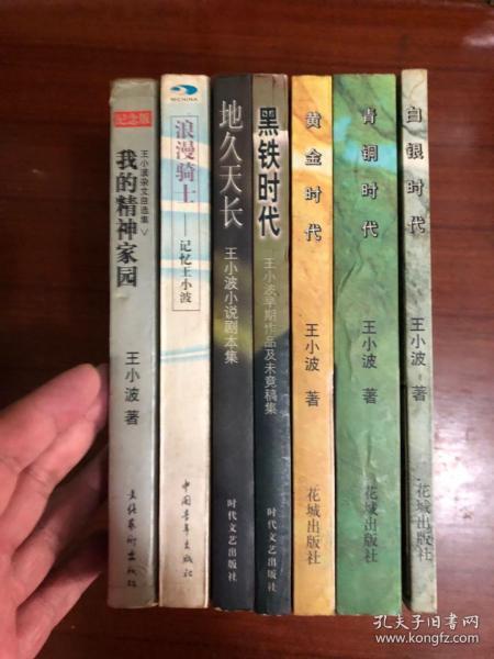 白银时代  黄金时代  青铜时代  地久天长  黑铁时代   我的精神家园  浪漫骑士-记忆王小波