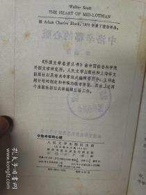 中洛辛郡的心脏 网格本