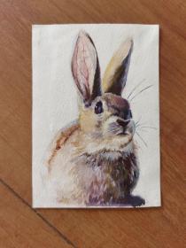 兔子彩色原稿画稿