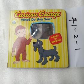 Curious George What Do You See? (CGTV Board Book)