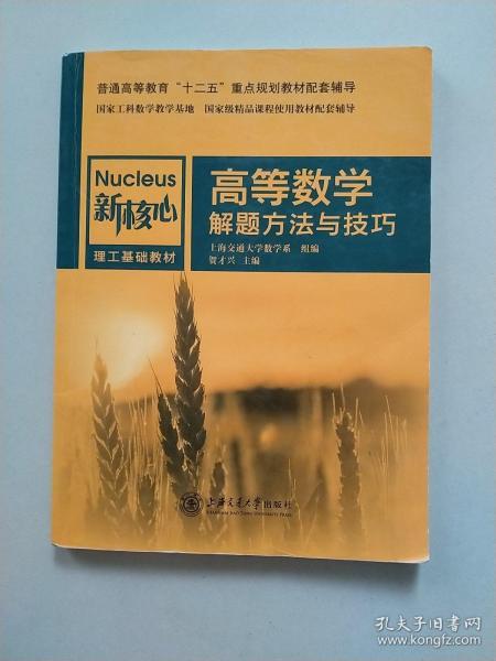 高等数学解题方法与技巧/新核心理工基础教材