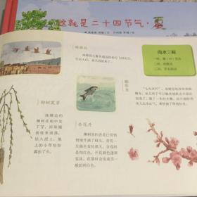 这就是二十四节气（百万册畅销童书，第十一届文津图书奖获奖图书）