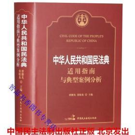 2020年版中华人民共和国民法典适用指南与典型案例分析 中国民主法制出版社正版民法总则物权合同人格权 婚姻家庭继承编侵权责任编 免费下载民法典解读名师视频讲解225份案例法院判决书