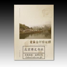 龙泉金村窑址群：2013~2014年调查试掘报告  全新原塑封