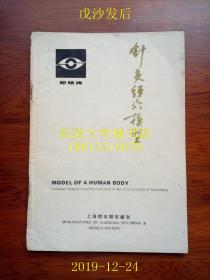 【说明书】眼睛牌 针灸经穴模型，Model Of A Human Body，上海标本模型厂制，繁体横排中英对照，人体经穴模型，十四经名称表等