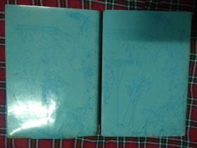 拍案惊奇(上下) 影印本,该书共有短篇小说78篇,杂剧一个,它以人民大众喜闻乐见的“拟话本”形式,描写了众多引人人胜的故事,如商人由厄运而致富,读书人由贫寒而成名;清官们断案如神,贪吏们枉法如虎;恶棍们奸淫揽讼,骗子们尔虞我诈;青年们怎样追求忠贞不二的爱情,而封建礼教又如何制造婚姻悲剧。语言通俗简练;情节曲折起伏,扑朔迷离,却又合乎情理;人物内心刻画细致入微,艺术形象栩栩如生。