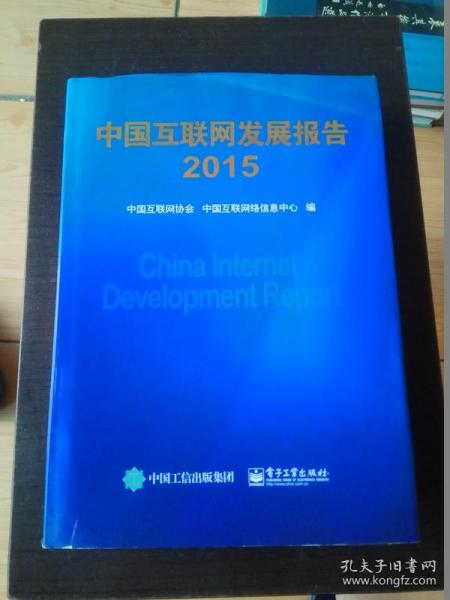 中国互联网发展报告2015