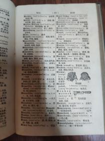 商务书馆英华新字典