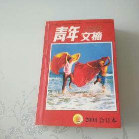 青年文摘2004合订本