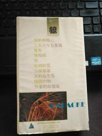 【老录像带】狼