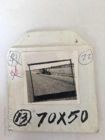 老照片底片：莱阳麦浪