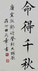 中国现代硬笔书法研究会会长【田英章】书法