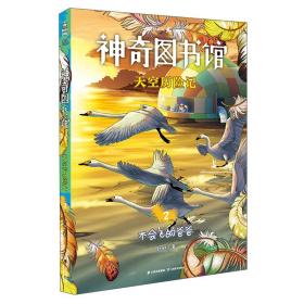 正版书 儿童文学：神奇图书馆 天空历险记2