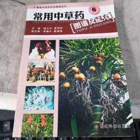 常用中草药图谱及配方 6 铜版纸彩图 私藏