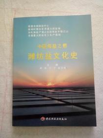 潍城盐文化史