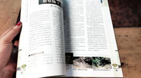 中国收藏.VOL.35