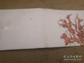 明信片《大东山珊瑚宝石博物馆藏珍》