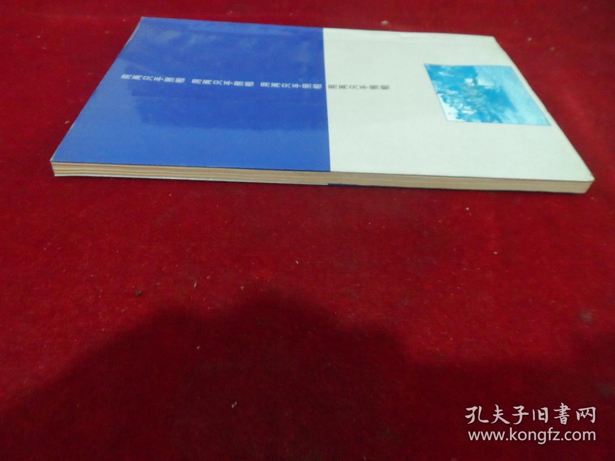 用两只手照相:江式高新闻摄影作品选集