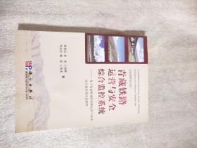 青藏铁路运营与安全综合监控系统——基于信息集成的铁路运营与安全综合监控及应急指挥