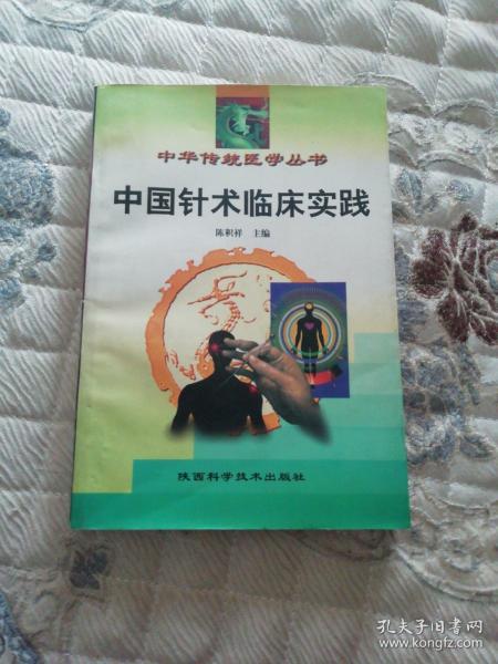 中国针术临床实践:修订本