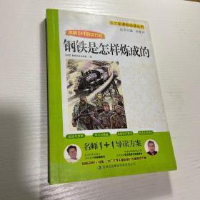 名师1+1导读系列：钢铁是怎样炼成的