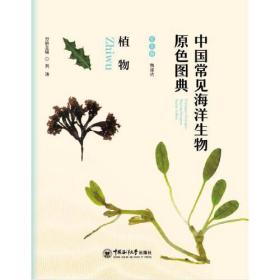 中国常见海洋生物原色图典——植物