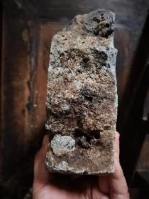 汉砖（残，存大半块），两面文字，字口非常清楚——万岁不败（长26厘米，宽16厘米，厚5.8厘米）——产地浙湖