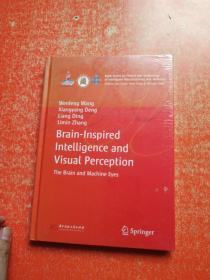 Brain-inspired intelligence and visual perception类脑智能与视觉感知（英文版）未拆封