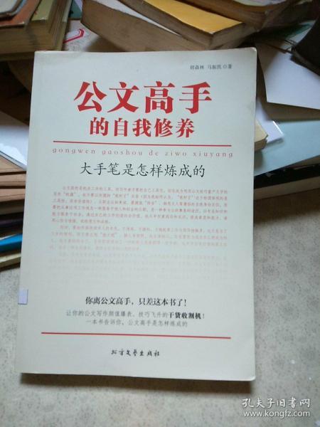 公文高手的自我修养：大手笔是怎样炼成的