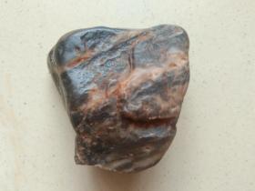 树化玉原石（呈色:黑、糯米白）