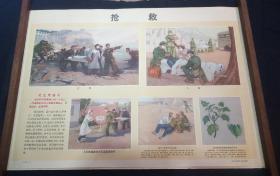 **三防挂图：1971年解放军总参谋部 防原子防化学防细菌挂图（一套30张全）