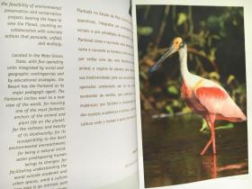 SESC  PANTANAL （Estância Ecológica Sesc Pantanal ）【葡萄牙语 英语 对照 大16开 画册】