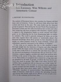 Gypsies and Other Itinerant Groups: A Socio-historical Approach（英语原版 精装本）吉普赛人和其他巡回群体：一种社会历史的方法