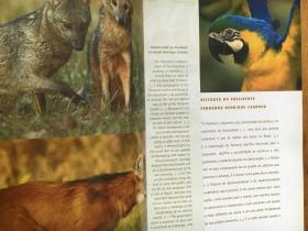 SESC  PANTANAL （Estância Ecológica Sesc Pantanal ）【葡萄牙语 英语 对照 大16开 画册】
