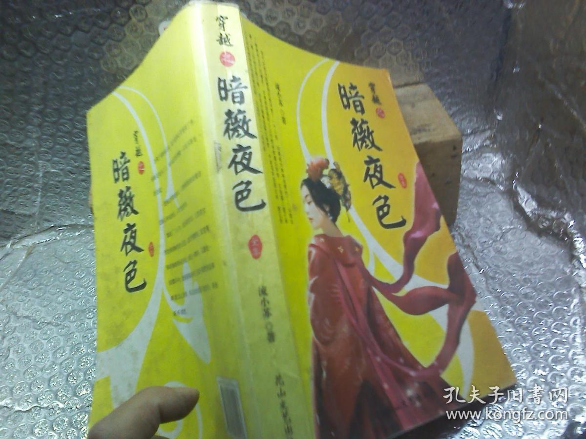 穿越之暗薇夜色全集