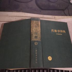 代数学辞典 下（问题解法）