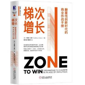 梯次增长 颠覆性创新时代的商业作战手册、