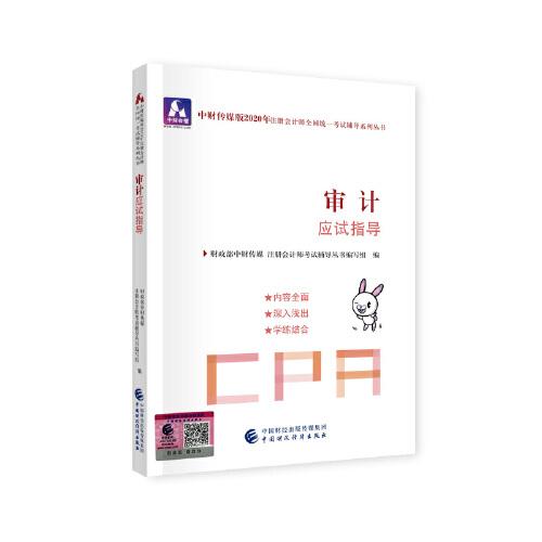 注册会计师2020配套辅导 2020年注册会计师全国统一考试辅导系列 应试指导 审计应试指导