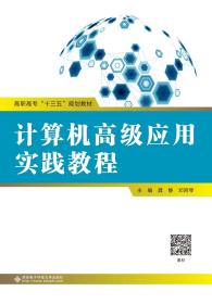 计算机高级应用实践教程（高职）