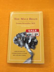 The Male Brain  英文原版 男性大脑