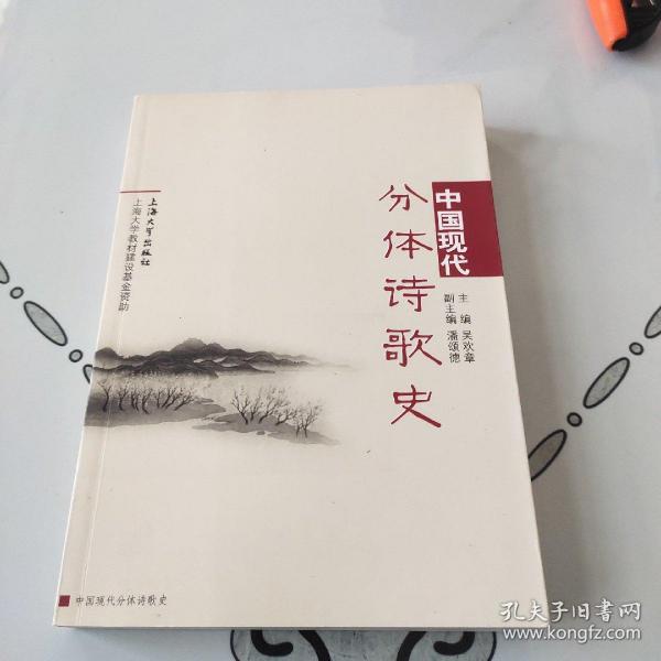 中国现代分体诗歌史