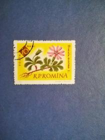 外国邮票  罗马尼亚邮票 1961年  布加勒斯特植物园 花卉 （盖销票 ）