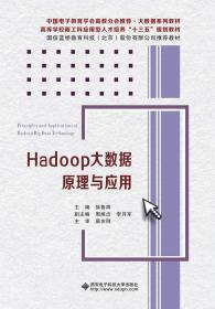 二手正版Hadoop大数据原理与应用