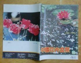 中国花卉盆景1992年第6期，总第89期