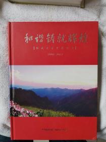 临武五年发展纪实 和谐铸就辉煌  面值60多